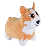 Corgi
