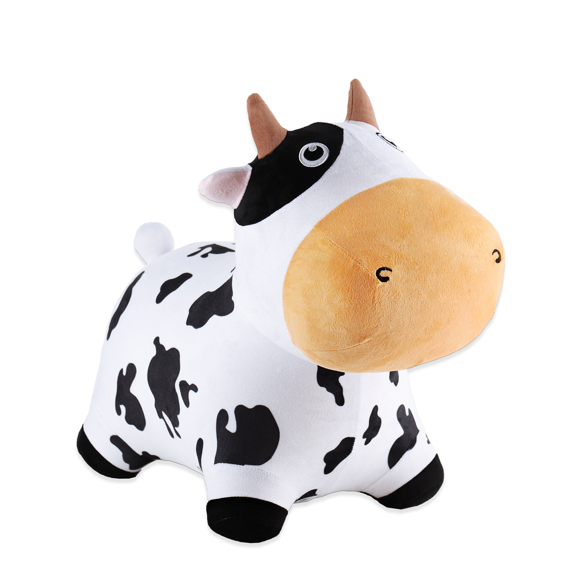 Dairy Cow