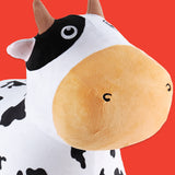 Dairy Cow
