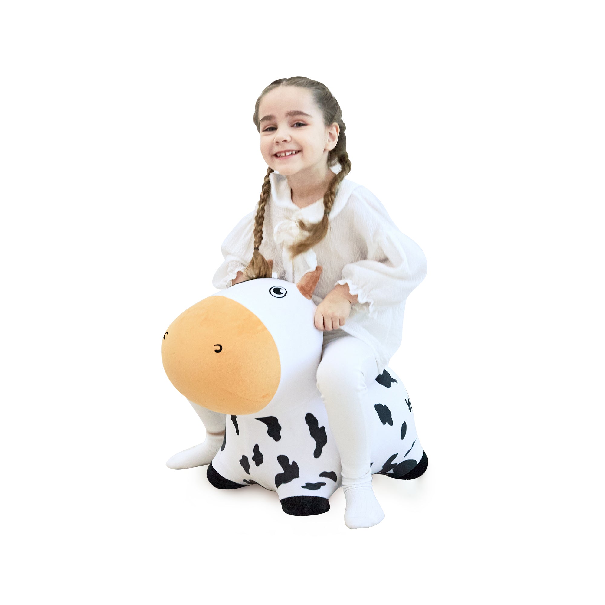 Dairy Cow