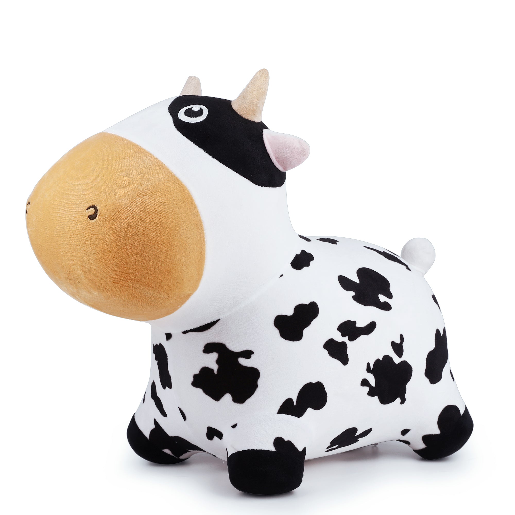 Dairy Cow